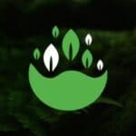 Startup Image