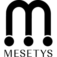 Startup Image