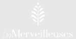 Startup Image