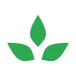Startup Image