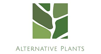 Startup Image