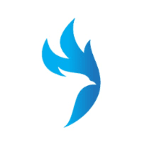 Startup Image