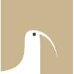 Startup Image