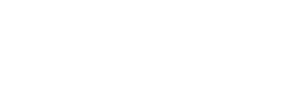 Startup Image