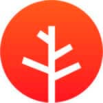 Startup Image