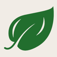Startup Image