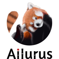 Startup Image