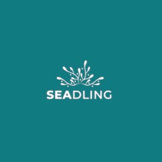 Startup Image
