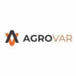 Startup Image