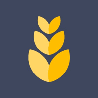 Startup Image