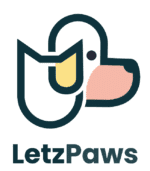 Startup Image