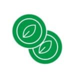 Startup Image