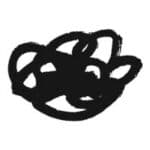 Startup Image