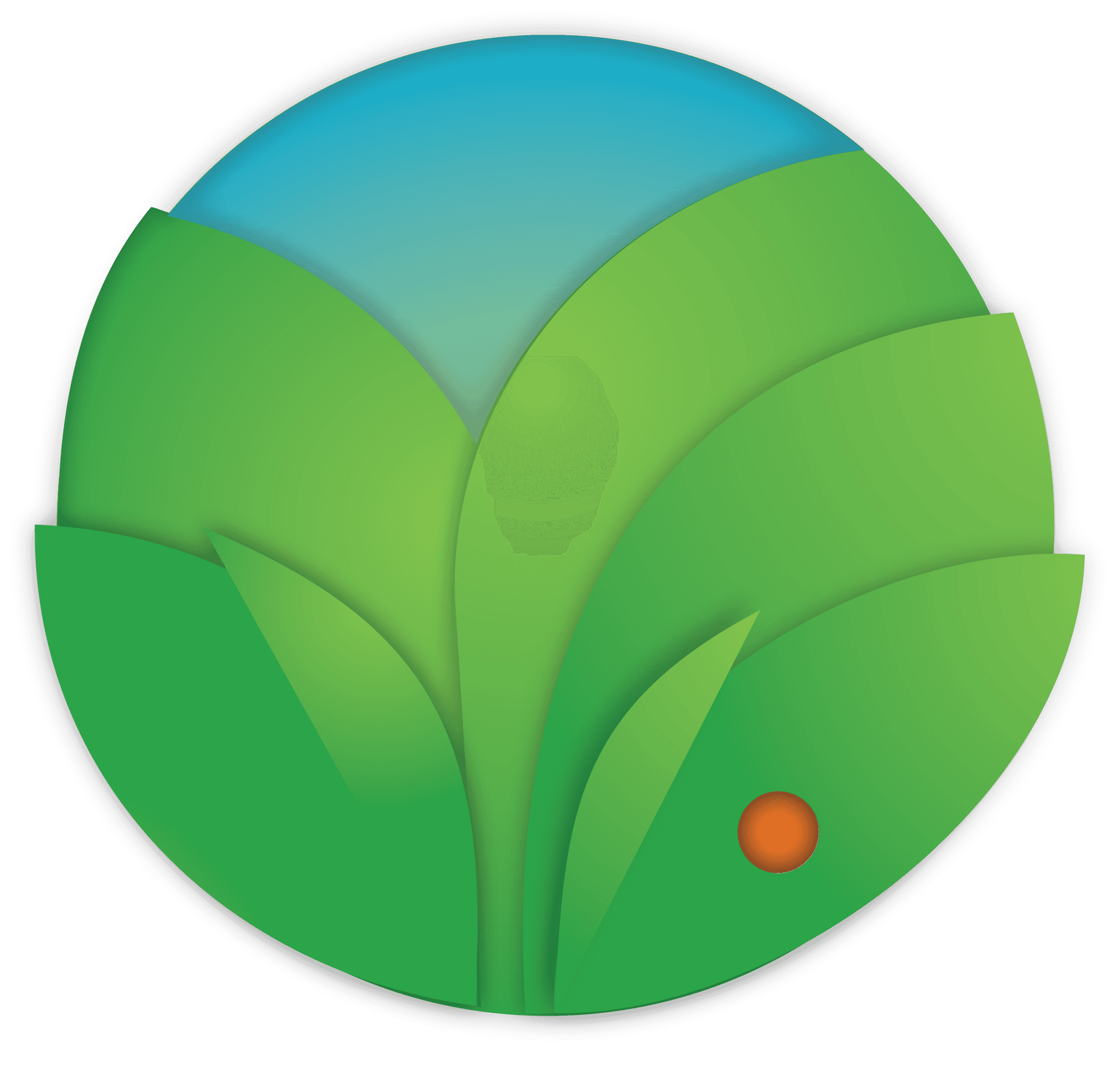 Startup Image