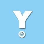 Startup Image
