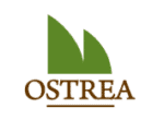 Startup Image