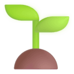 Startup Image