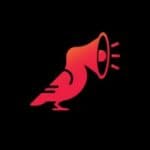 Startup Image