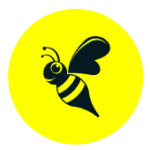 Startup Image