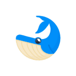 Startup Image