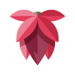 Startup Image
