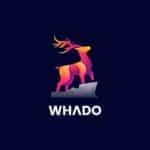 Startup Image
