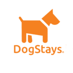 Startup Image