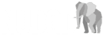 Startup Image