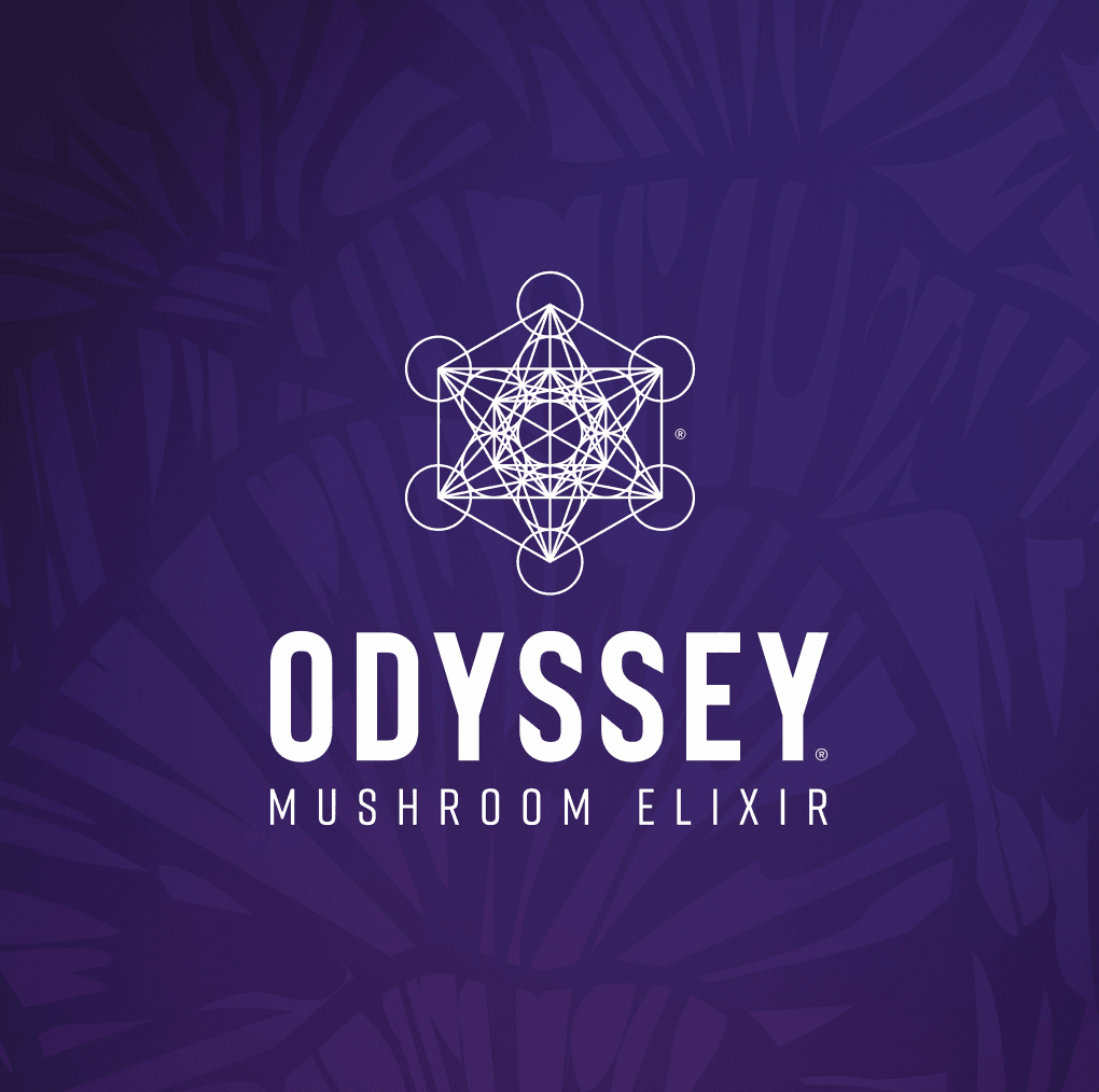 Startup Image