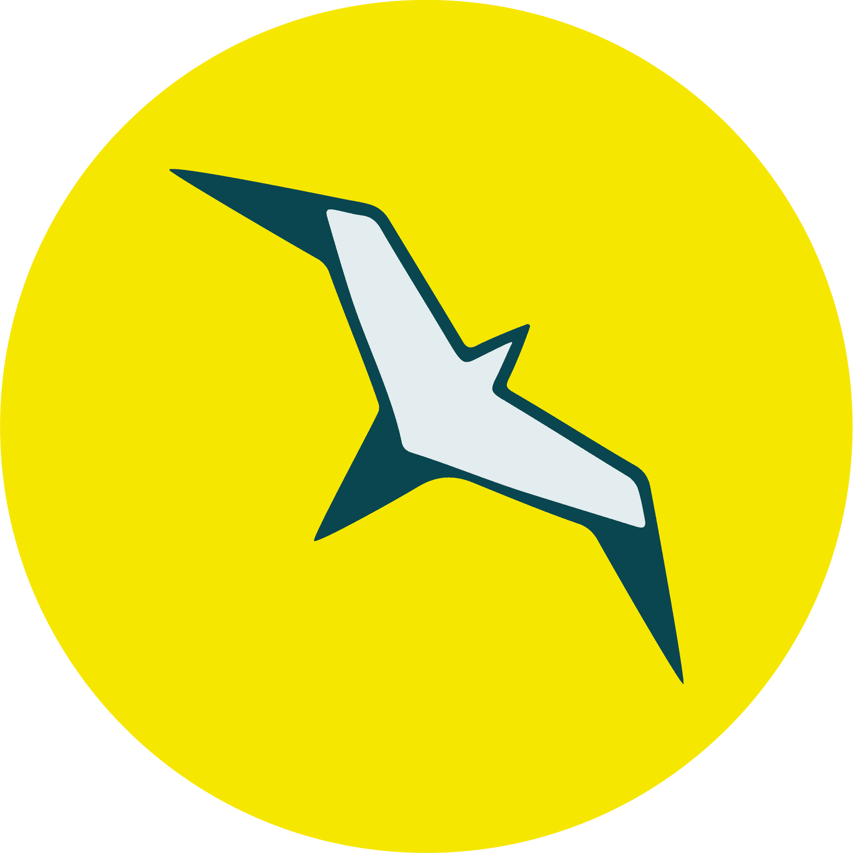 Startup Image