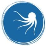 Startup Image