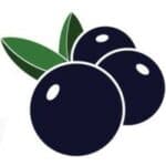 Startup Image