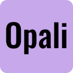Startup Image