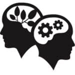 Startup Image