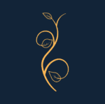 Startup Image
