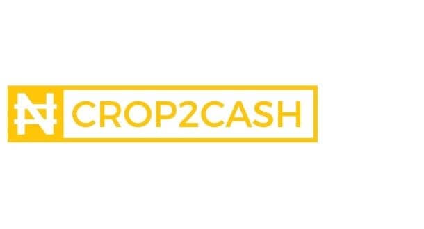 Startup Image