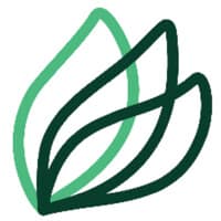 Startup Image