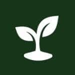 Startup Image
