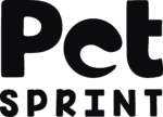 Startup Image
