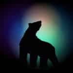 Startup Image