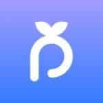 Startup Image