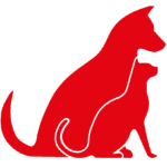Startup Image
