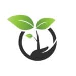 Startup Image