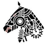 Startup Image