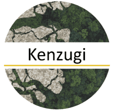 Startup Image