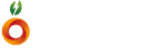 Startup Image