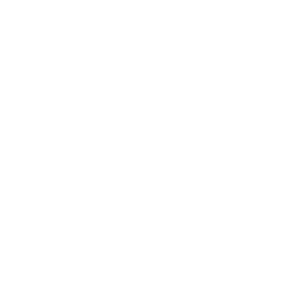 Startup Image