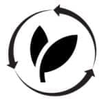 Startup Image