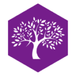 Startup Image