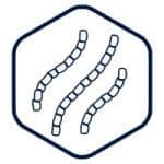 Startup Image